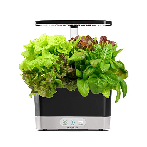 AeroGarden ??? ???? - ????????? ????? ?????? ?? ??? ?? ...