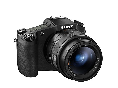 Sony DSC-RX10M II ??????-?? ??????? ????? ????????