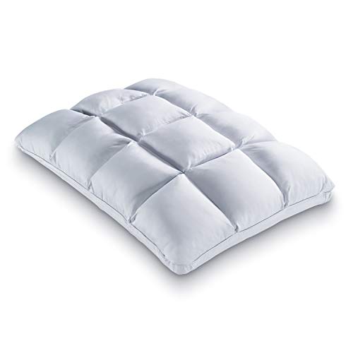 PureCare Cooling SoftCell Chill Memory Foam Pillow, Rev...