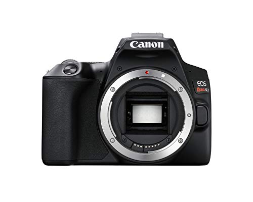 Canon ??????? ???????? EOS ???????? SL3