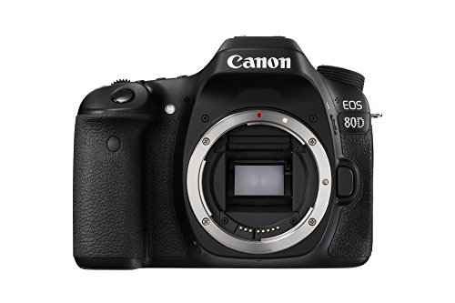 Canon EOS 80D ??????? ?????? ???????? ??? (????)