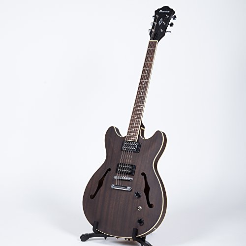 Ibanez Artcore AS53 ????-??? ????????? ?????