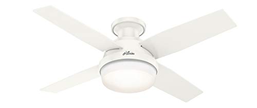 Hunter Fan Company Hunter Dempsey Low Profile Indoor an...