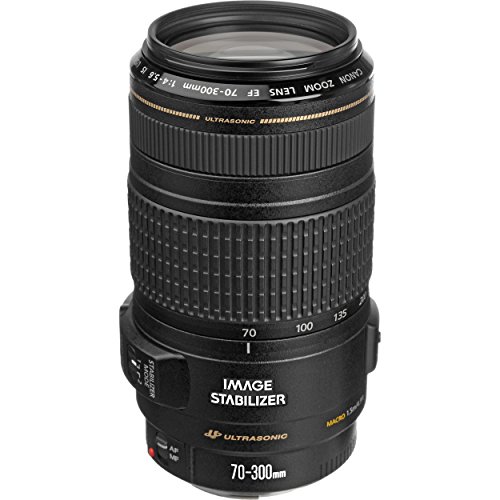 Canon EF 70-300mm f/4-5.6 IS USM ????? EOS SLR ????????...