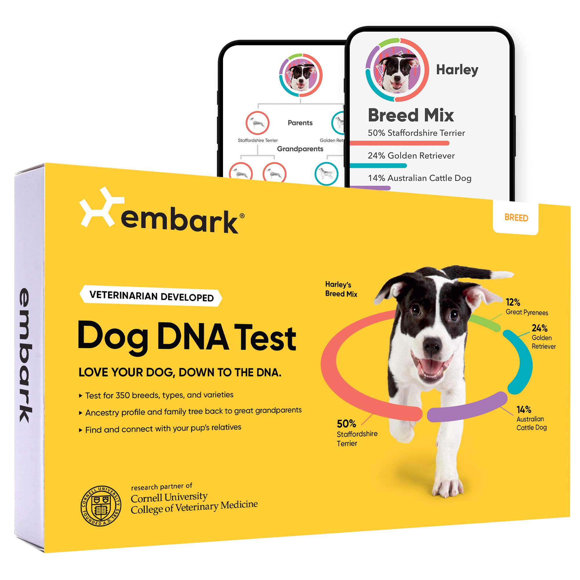 Embark ??? ????????? ??? | ??????? ???? ????? ????? ???...