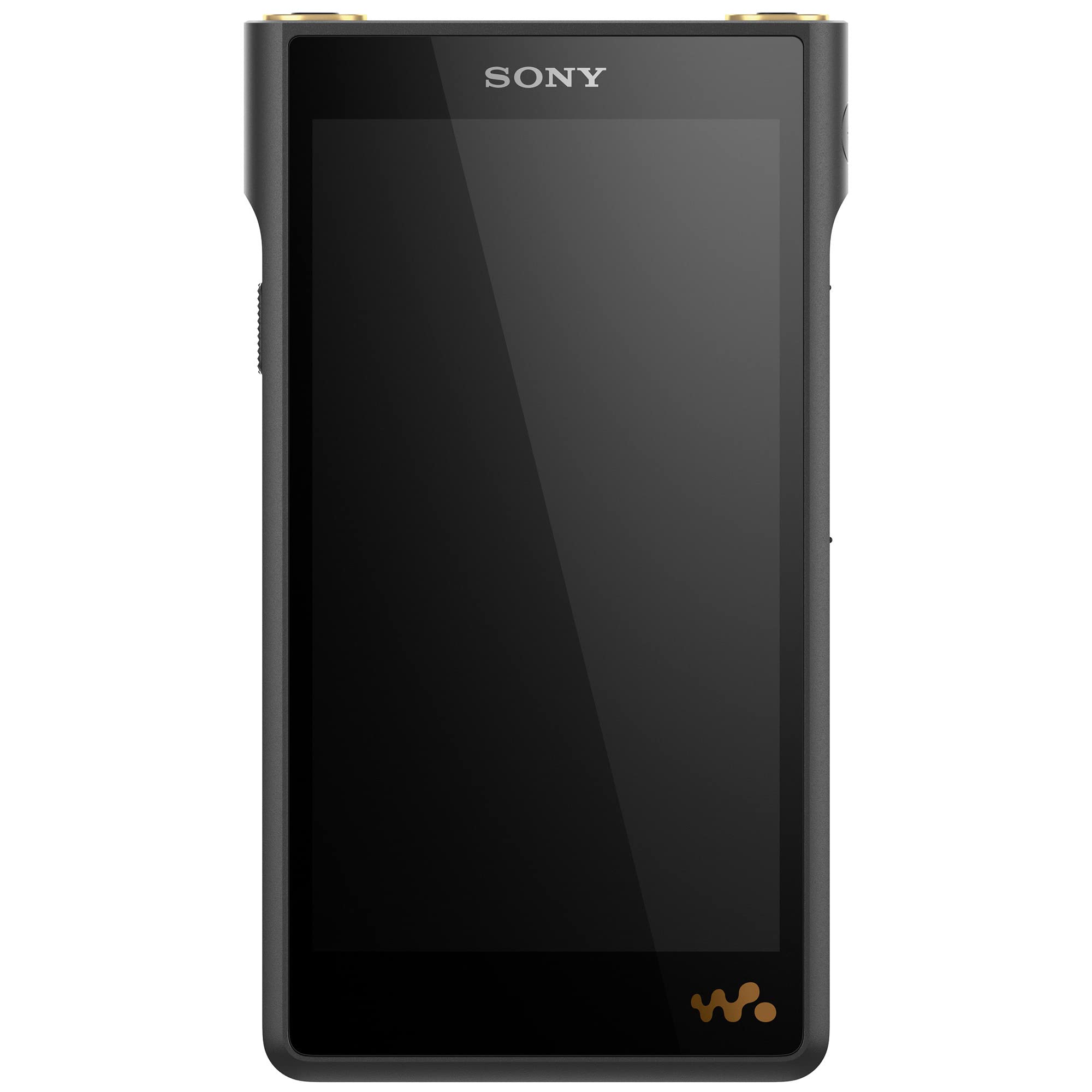 Sony NW-WM1AM2 Hi-Res 128GB ?????????? ??????? MP3 ????...