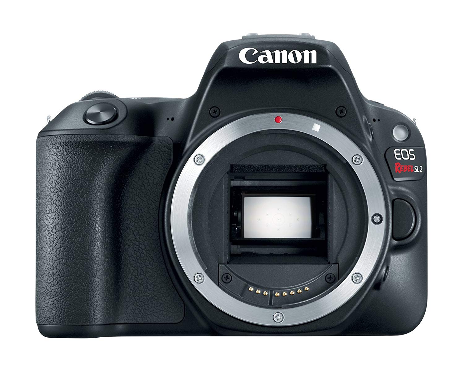 Canon EOS Rebel SL2 ??????? ?????? ???????? ??? - ?????...